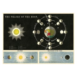Poster "Mondphasen"