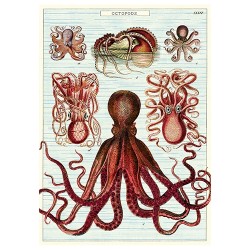 Poster "Oktopus"