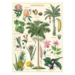 Poster "Tropical"