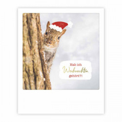 Pickmotion Karte "Hab ich da Weihnachten gehört"