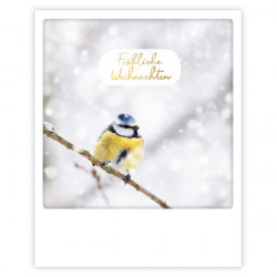 Pickmotion Karte "Fröhliche Weihnachten Blaumeise "