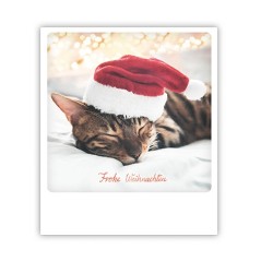 Pickmotion Karte "Frohe Weihnachten Katze Mütze"