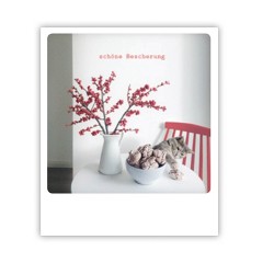 Pickmotion Karte "Schöne Bescherung"