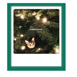 Pickmotion Klappkarte "It's christmas Time"