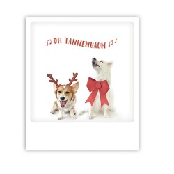 Pickmotion Karte "Oh Tannenbaum Hundeduett"