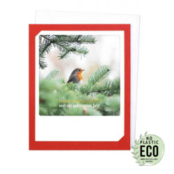 Pickmotion Klappkarte "Frohe Weihnachten Rotkehlchen" ECO