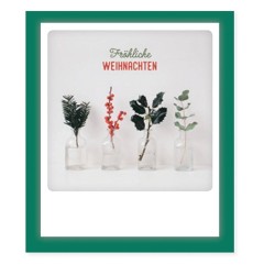 Pickmotion Klappkarte "Weihnachtspflanzen"