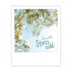 Pickmotion Karte "Namasté Stress adé"