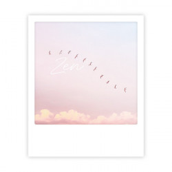 Pickmotion Karte "Zen Birds"