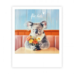 Pickmotion Karte "Für dich Koala" 