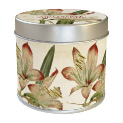 Duftkerze "Weihnachtsapfel" mit Amaryllismotiv