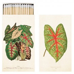 Streichhölzer Leaves