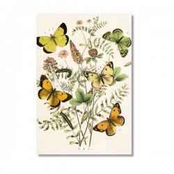 Vintage Karte Schmetterlinge rosa Blüten