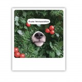 Pickmotion Karte "Frohe Weihnachten Hundeschnauze"