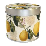 Duftkerze "Lemon" mit Zitronenbaum