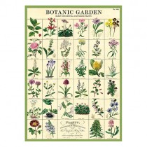 Poster "Botanic Garden"