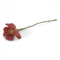 Filz Mohn Raspberry 