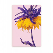 Karte "Kew Garden" Yellow Crown Imperial