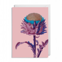 Klappkarte "Artischocke" mit floralem Umschlag 