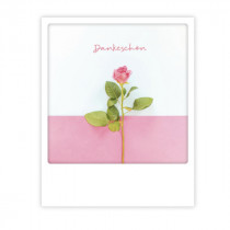 Pickmotion Karte "Dankeschön Rose"
