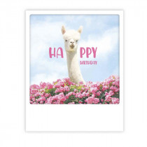 Pickmotion Karte "Happy Birthday Lama"