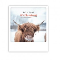 Pickmotion Karte "Holy Cow it's Christmas"