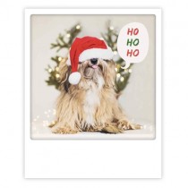 Pickmotion Karte "Ho Ho Ho Christmas Dog"