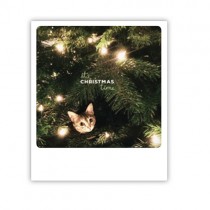 Pickmotion Karte "It's Christmas Time"