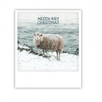 Pickmotion Karte "Meeeh-rry Christmas sheep"
