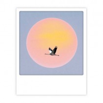 Pickmotion Karte "Sonnenflug"