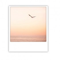 Pickmotion Karte "Sunset Wings"