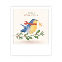 Pickmotion Mini Pic Karte "Frohe Weihnachten Vögelchen"