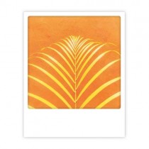 Pickmotion Karte "Orange Leaf"
