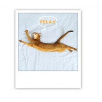 Pickmotion Karte "Relax"