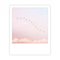 Pickmotion Karte "Zen Birds"
