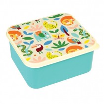 Lunchbox Wild Wonders