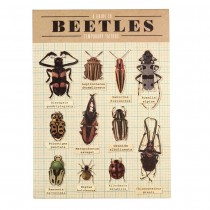 Fun Tattoo Set Beetles