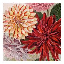 Servietten Orange Dahlien