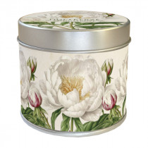 Duftkerze "Pfingstrose" White Peony