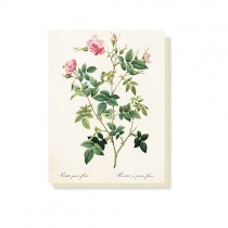 kleine Vintage Klappkarte "Rose"