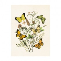 Vintage Mini Poster "Schmetterlinge"