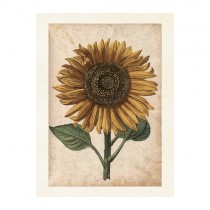 Vintage Mini Poster "Sonnenblume" 