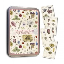 Vintage Karten Set Summer Seeds
