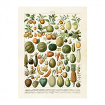 Vintage Mini Poster "Gemüse" 