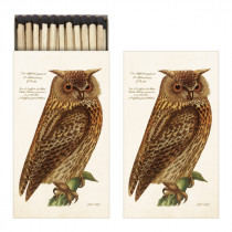 Streichhölzer Eule
