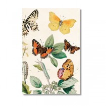Vintage Karte Schmetterlinge gelber Falter