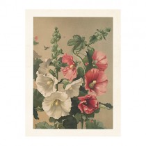 Vintage Mini Poster "Stockrosen"