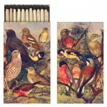 Streichhölzer Vogelscharr