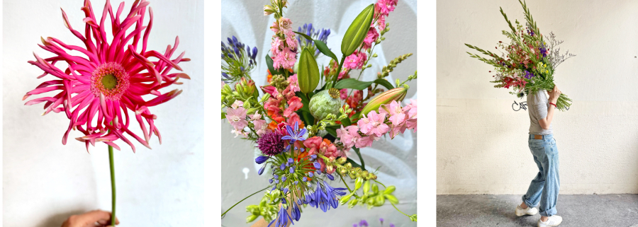 Januar Blumen