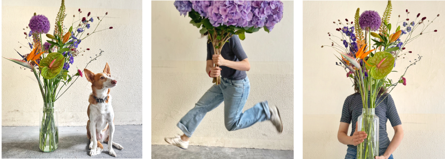 Januar Blumen